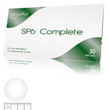 SP6コンプリート