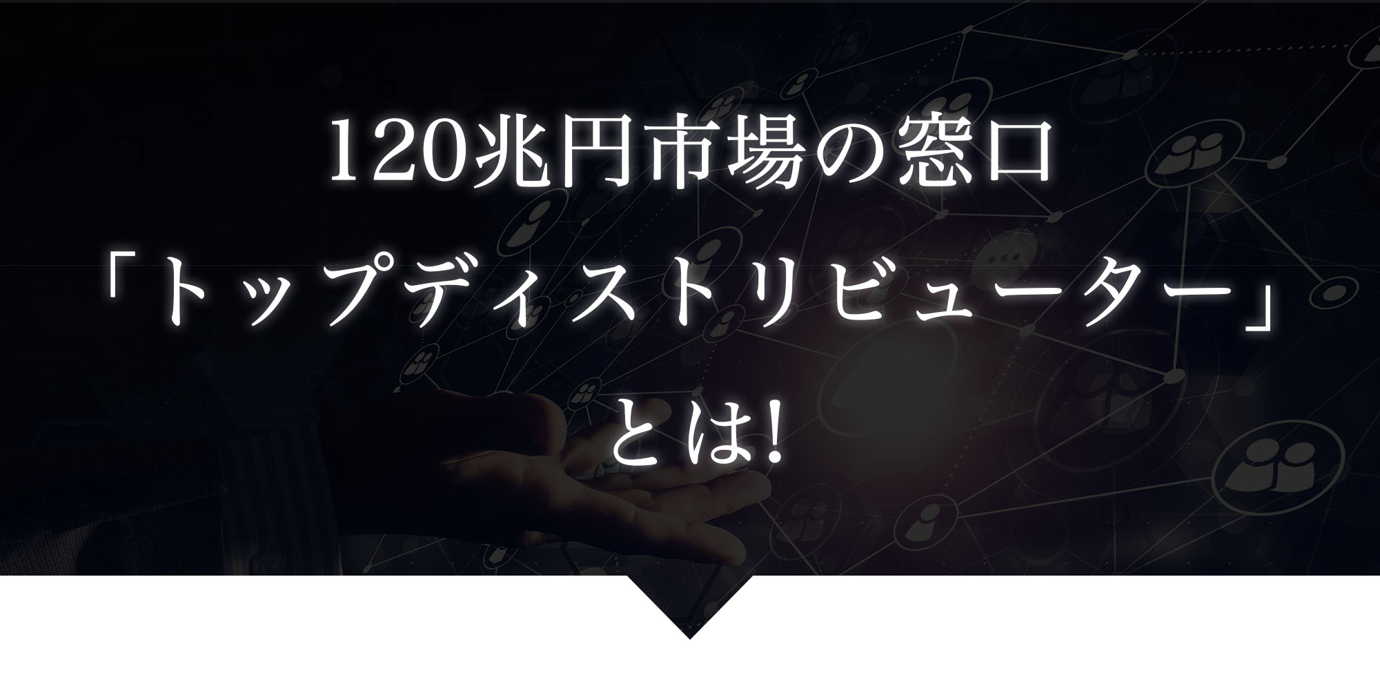 トップディストリビューターとは？